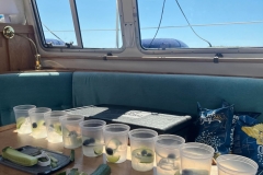 385409282_322087213748214_4257692769475728901_n