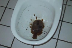 1175773917_IMG_0308_kopi