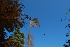 1194643842_RT07_174