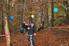 RT2010_128