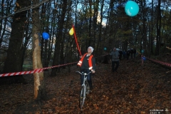 RT2010_138