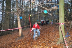 RT2010_147