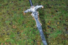 RT2011_175