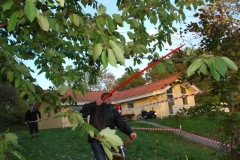 RT2012150