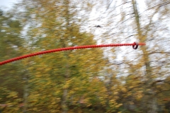 RT2013__132