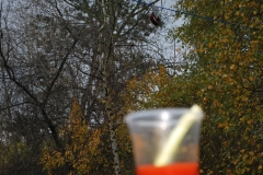 RT2013__155