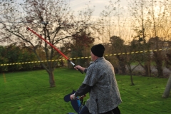 RT2014_166